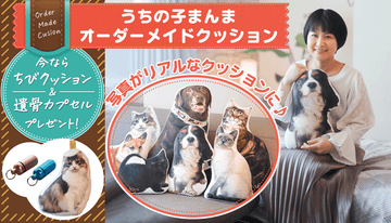 ペットの写真がリアルなクッションに!うちの子まんまオーダーメイドクッション